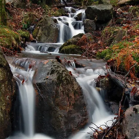 Πανδοχείο Brook House 4*